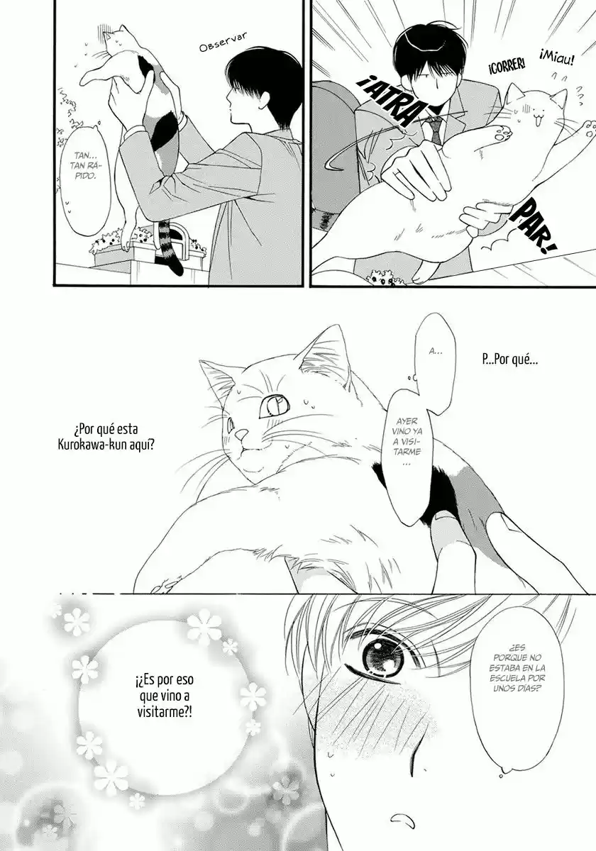 Neko Neko Honey - Capítulo 4 - Página 22 - LectorTMOo