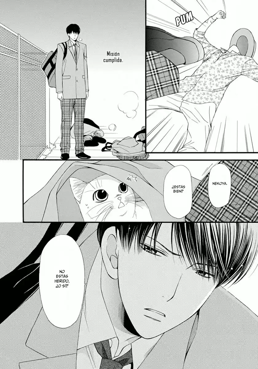 Neko Neko Honey - Capítulo 6 - Página 29 - LectorTMOo