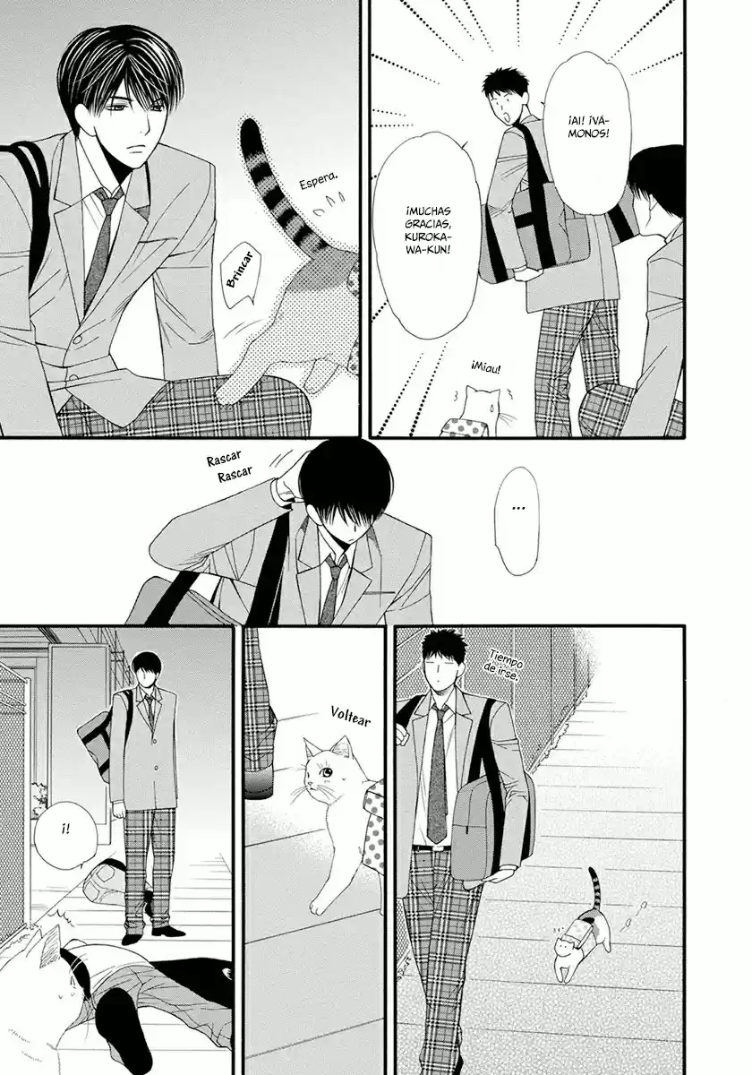 Neko Neko Honey - Capítulo 6 - Página 32 - LectorTMOo
