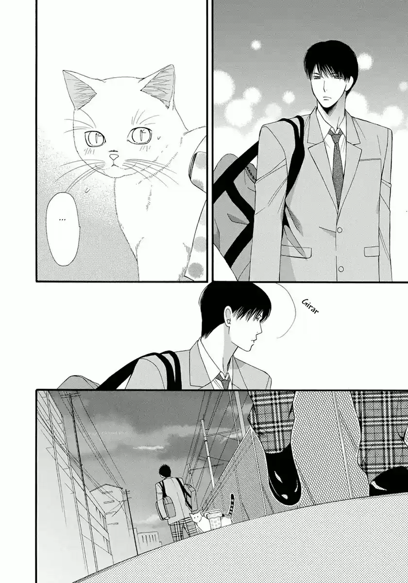 Neko Neko Honey - Capítulo 6 - Página 33 - LectorTMOo