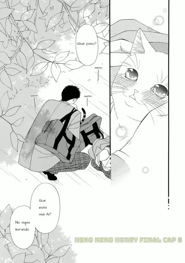 Neko Neko Honey capítulo 8 página 31