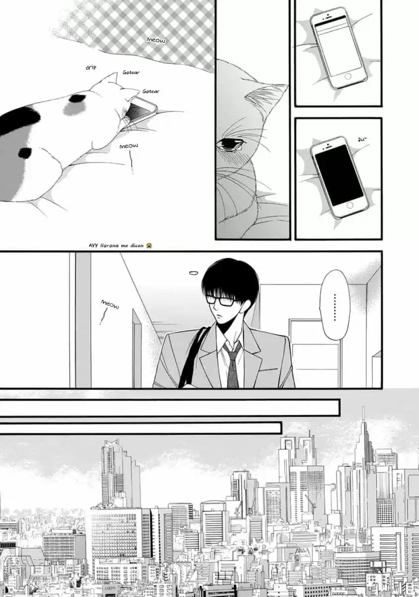 Neko Neko Honey - Capítulo 9 - Página 13 - LectorTMOo