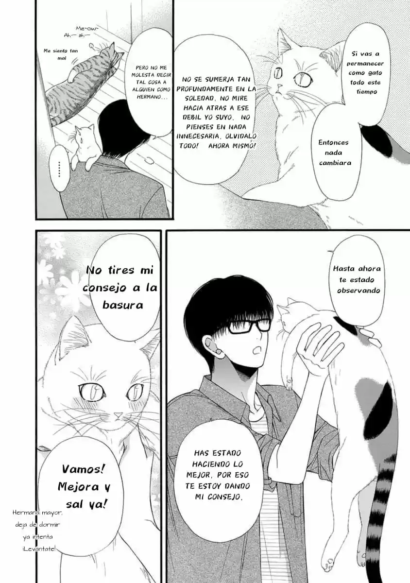 Neko Neko Honey - Capítulo 9 - Página 18 - LectorTMOo