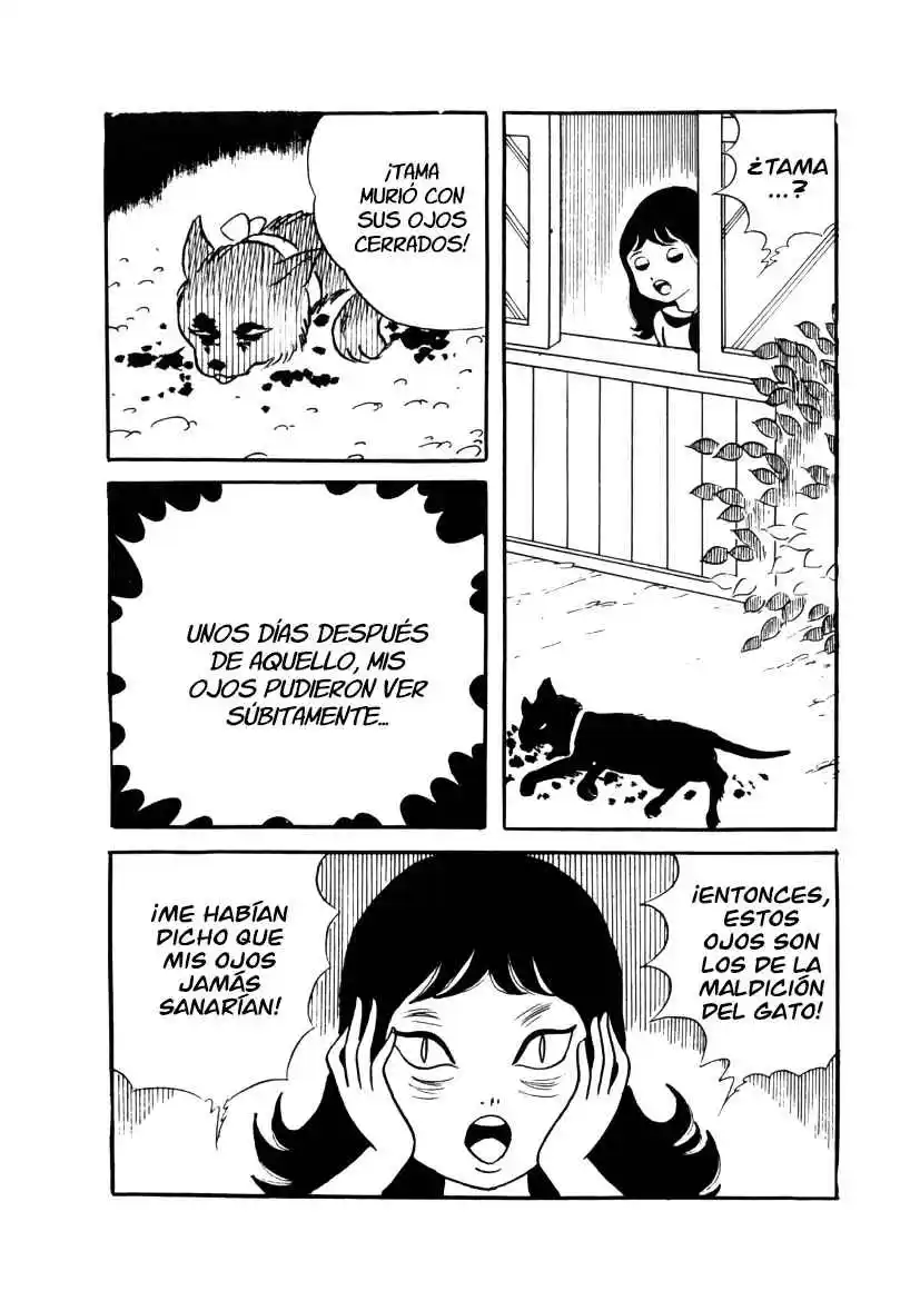 Neko No Me Ningyou - Capítulo 1 - Página 53 - LectorTMOo