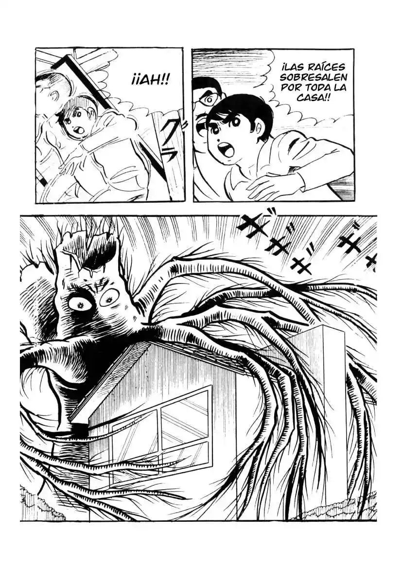 Neko No Me Ningyou - Capítulo 2 - Página 37 - LectorTMOo
