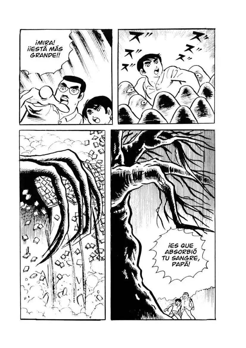 Neko No Me Ningyou - Capítulo 2 - Página 41 - LectorTMOo