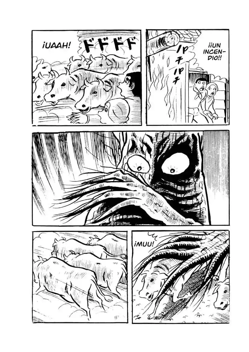 Neko No Me Ningyou - Capítulo 2 - Página 46 - LectorTMOo