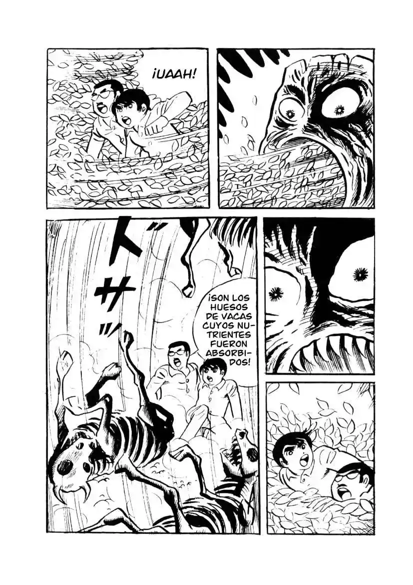 Neko No Me Ningyou - Capítulo 2 - Página 48 - LectorTMOo