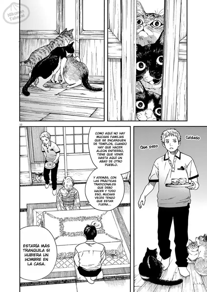 Neko No Otera No Chion-san - Capítulo 12 - Página 11 - LectorTMOo