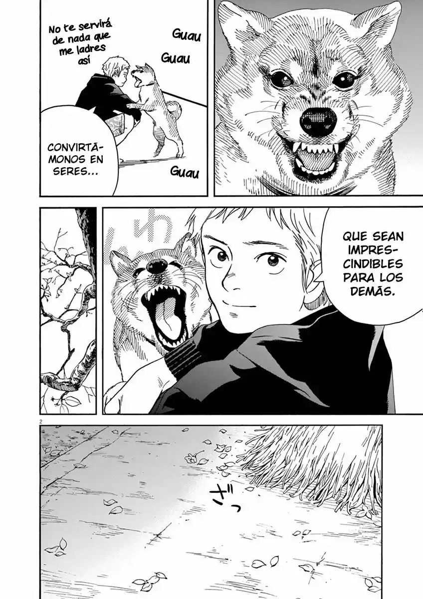 Neko No Otera No Chion-san - Capítulo 13 - Página 3 - LectorTMOo