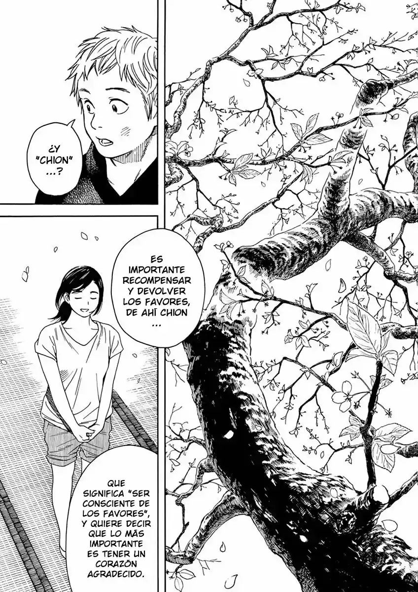 Neko No Otera No Chion-san - Capítulo 13 - Página 18 - LectorTMOo
