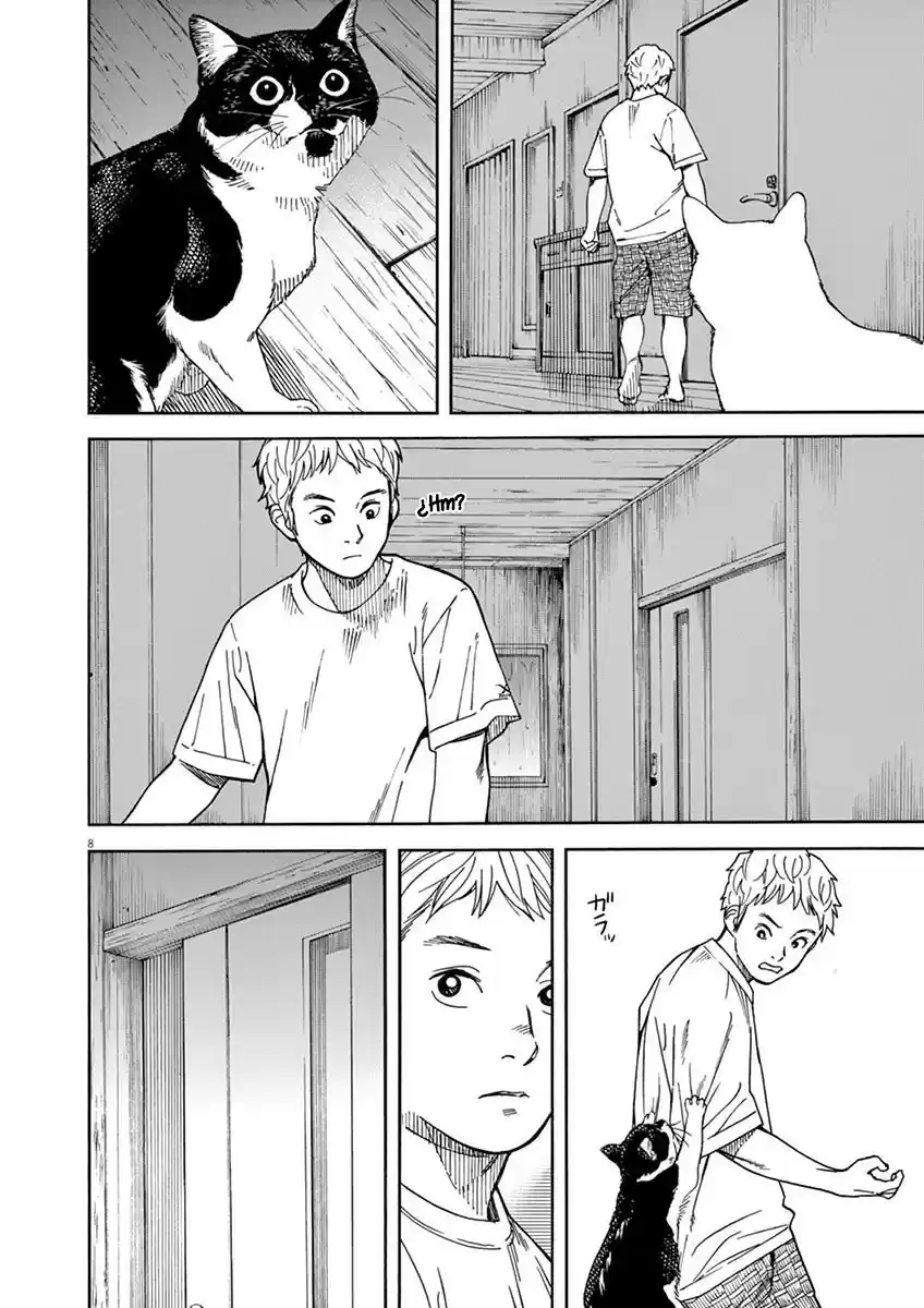 Neko No Otera No Chion-san - Capítulo 17 - Página 9 - LectorTMOo