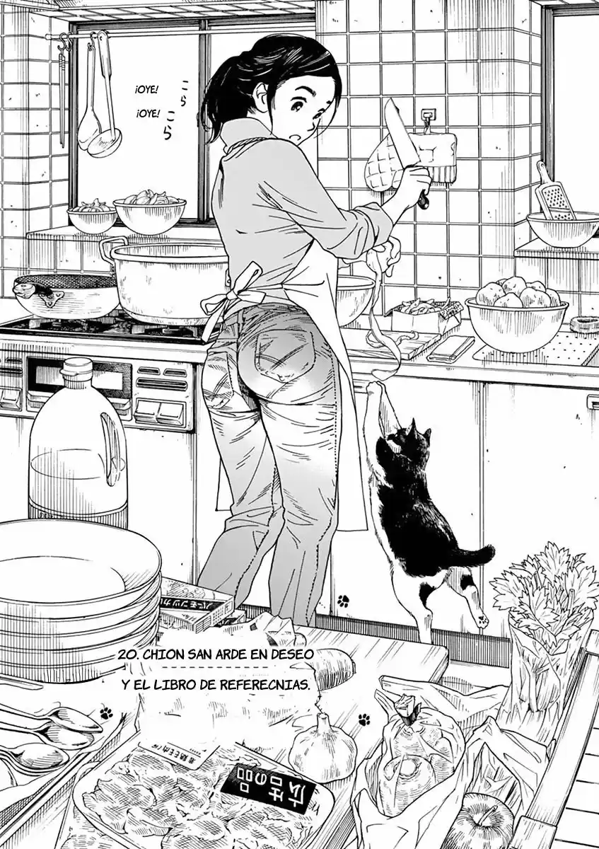 Neko No Otera No Chion-san - Capítulo 20 - Página 5 - LectorTMOo