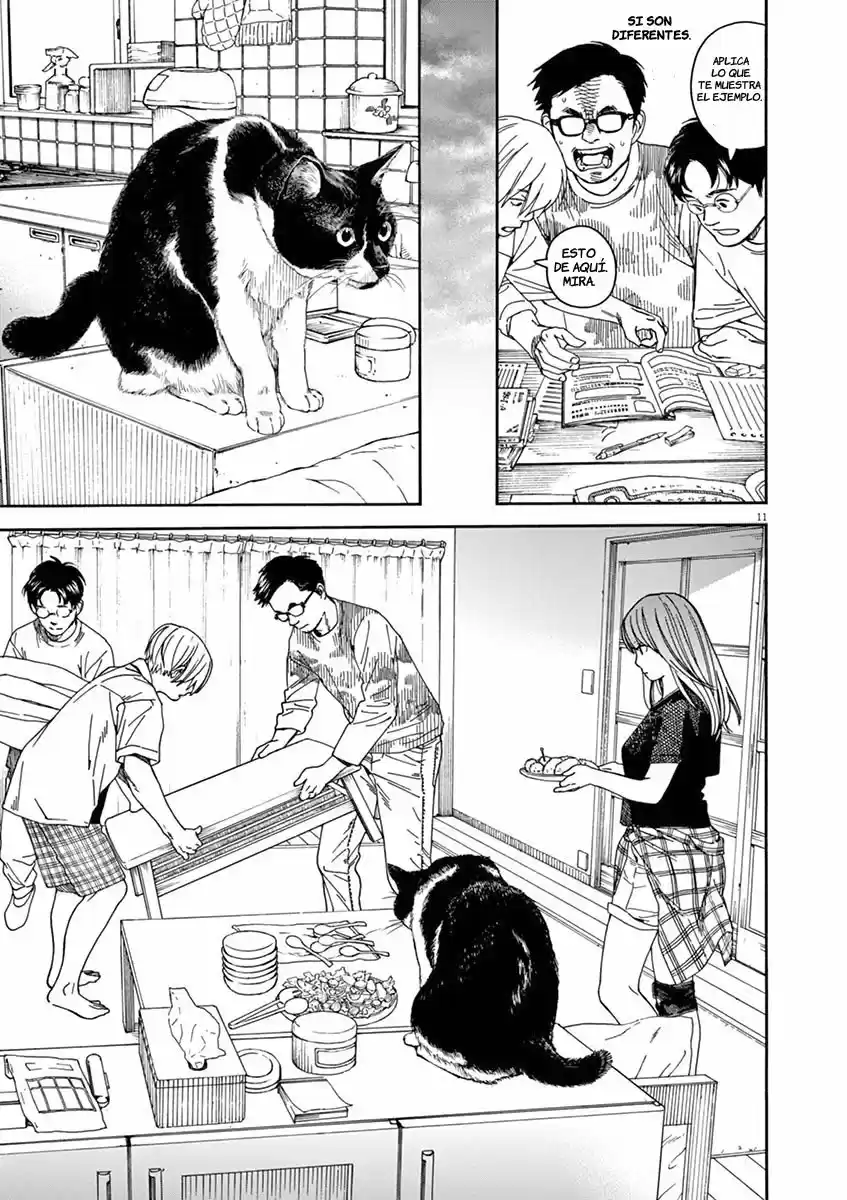 Neko No Otera No Chion-san - Capítulo 20 - Página 14 - LectorTMOo