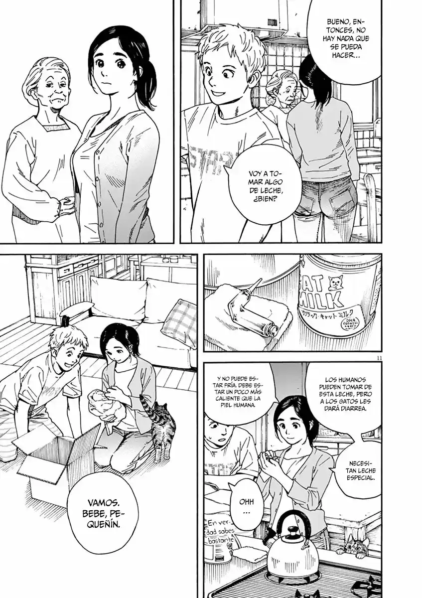 Neko No Otera No Chion-san - Capítulo 22 - Página 12 - LectorTMOo