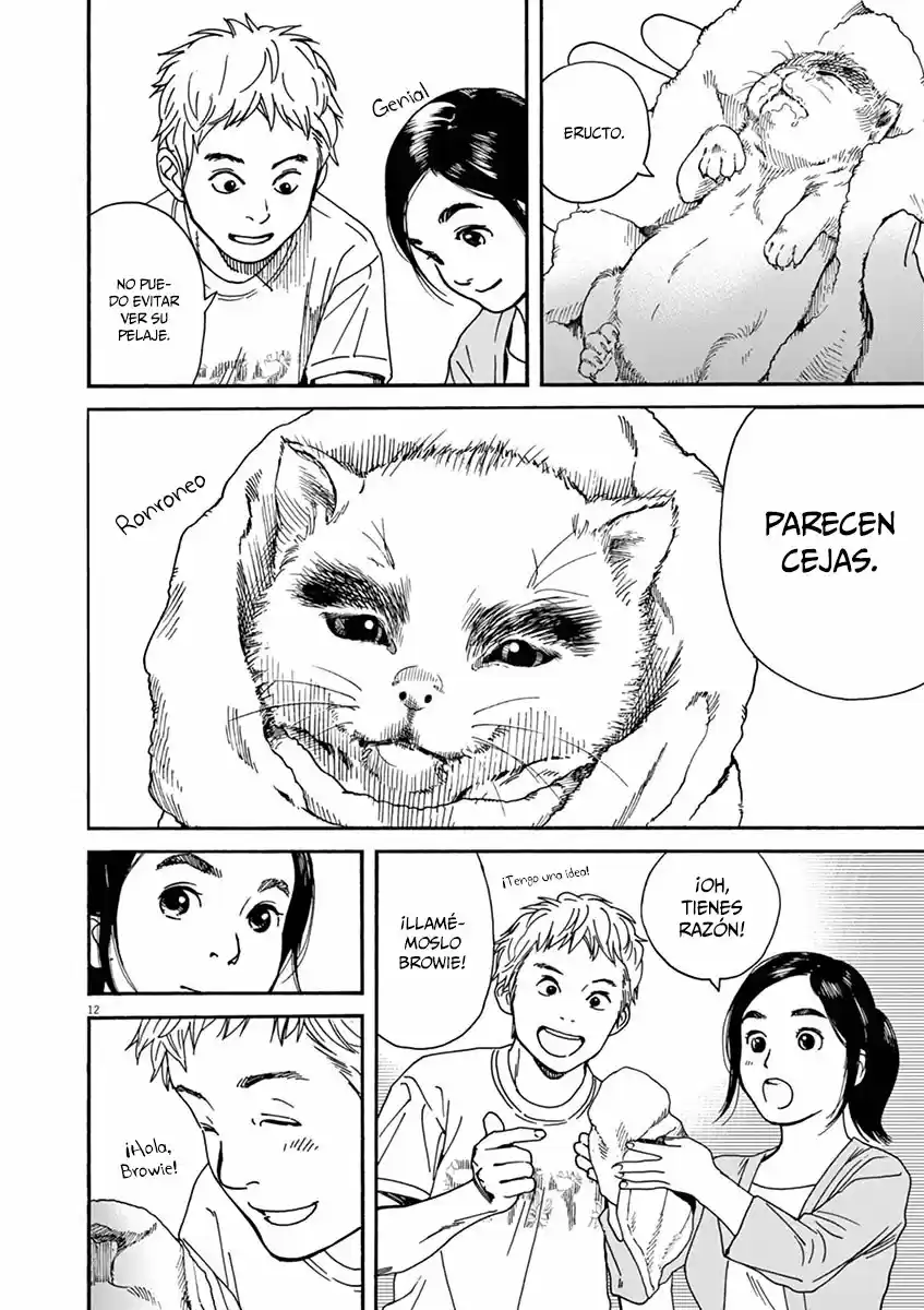 Neko No Otera No Chion-san - Capítulo 22 - Página 13 - LectorTMOo