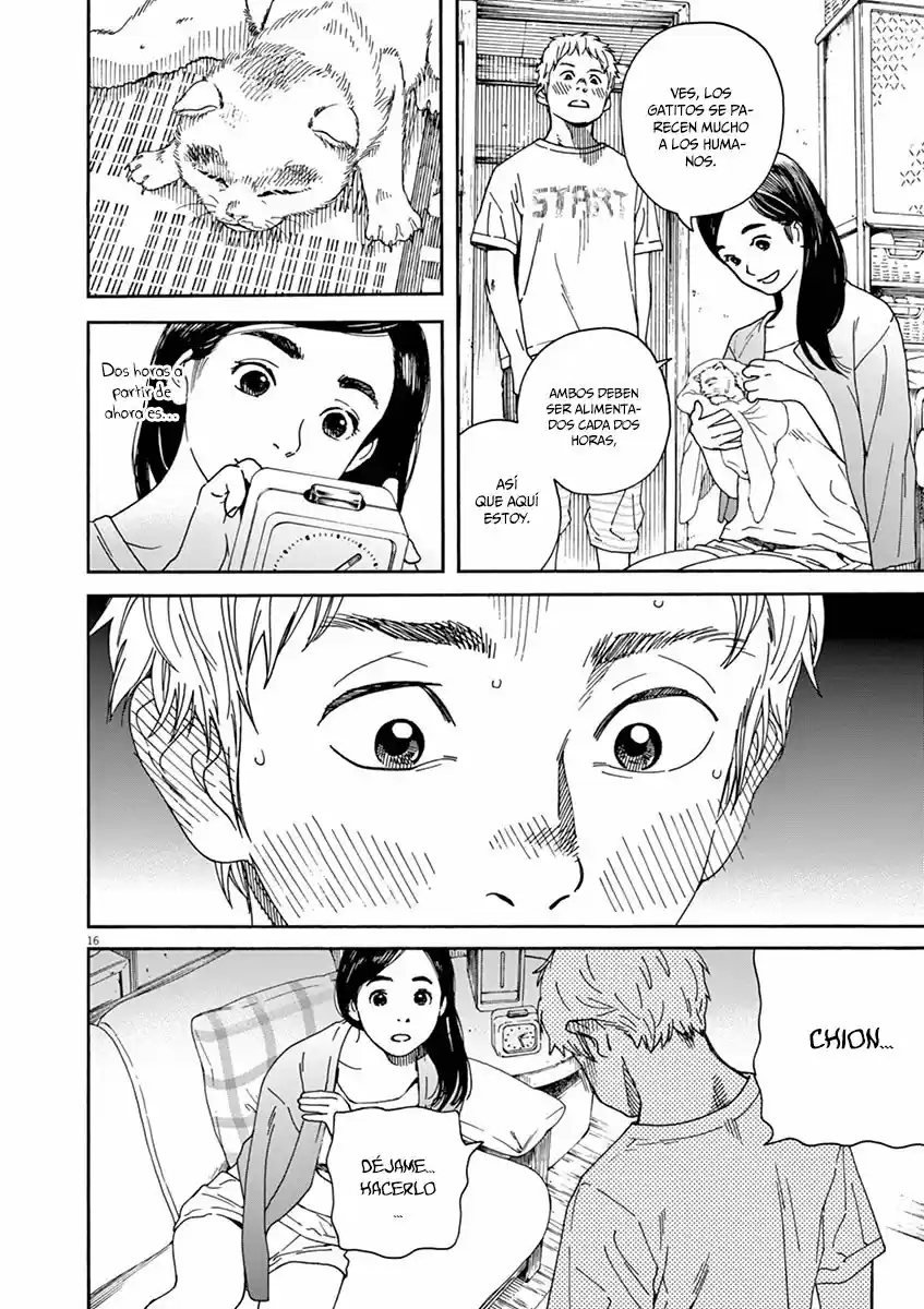 Neko No Otera No Chion-san - Capítulo 22 - Página 17 - LectorTMOo