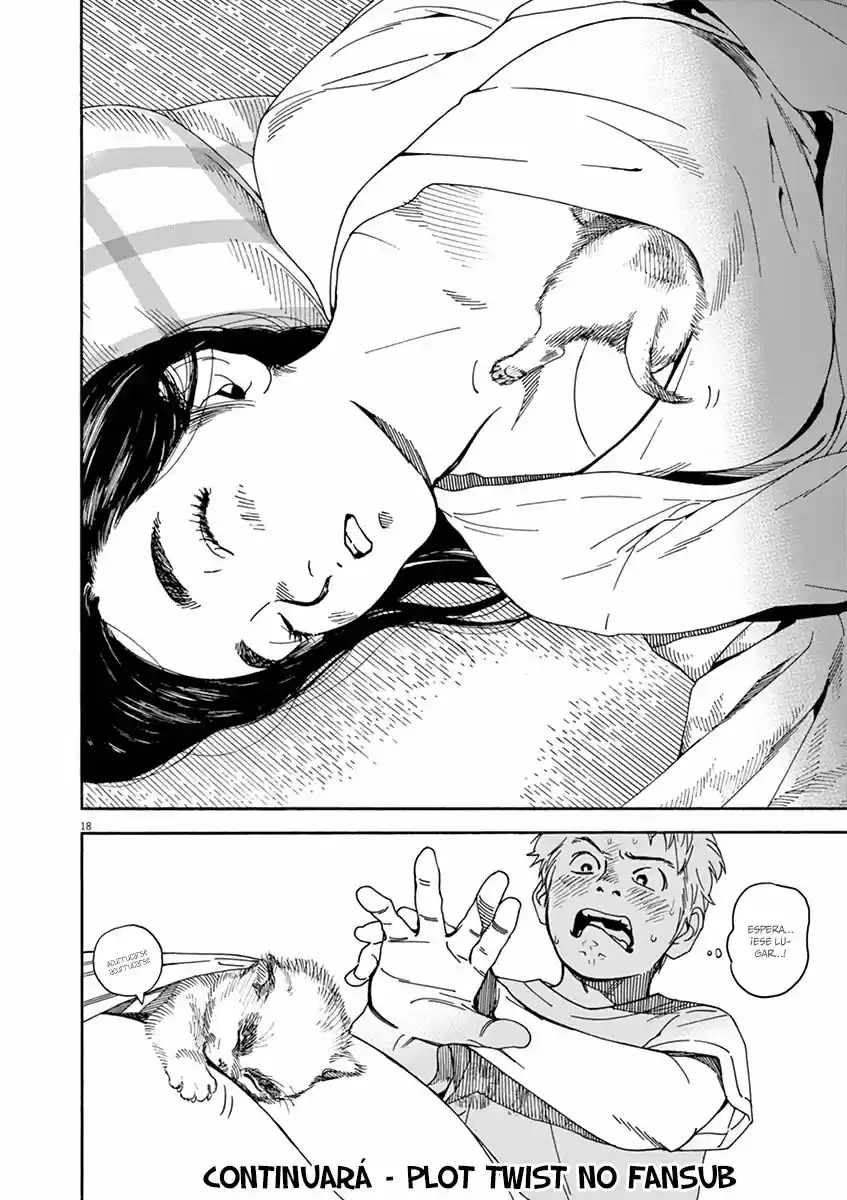 Neko No Otera No Chion-san - Capítulo 22 - Página 19 - LectorTMOo
