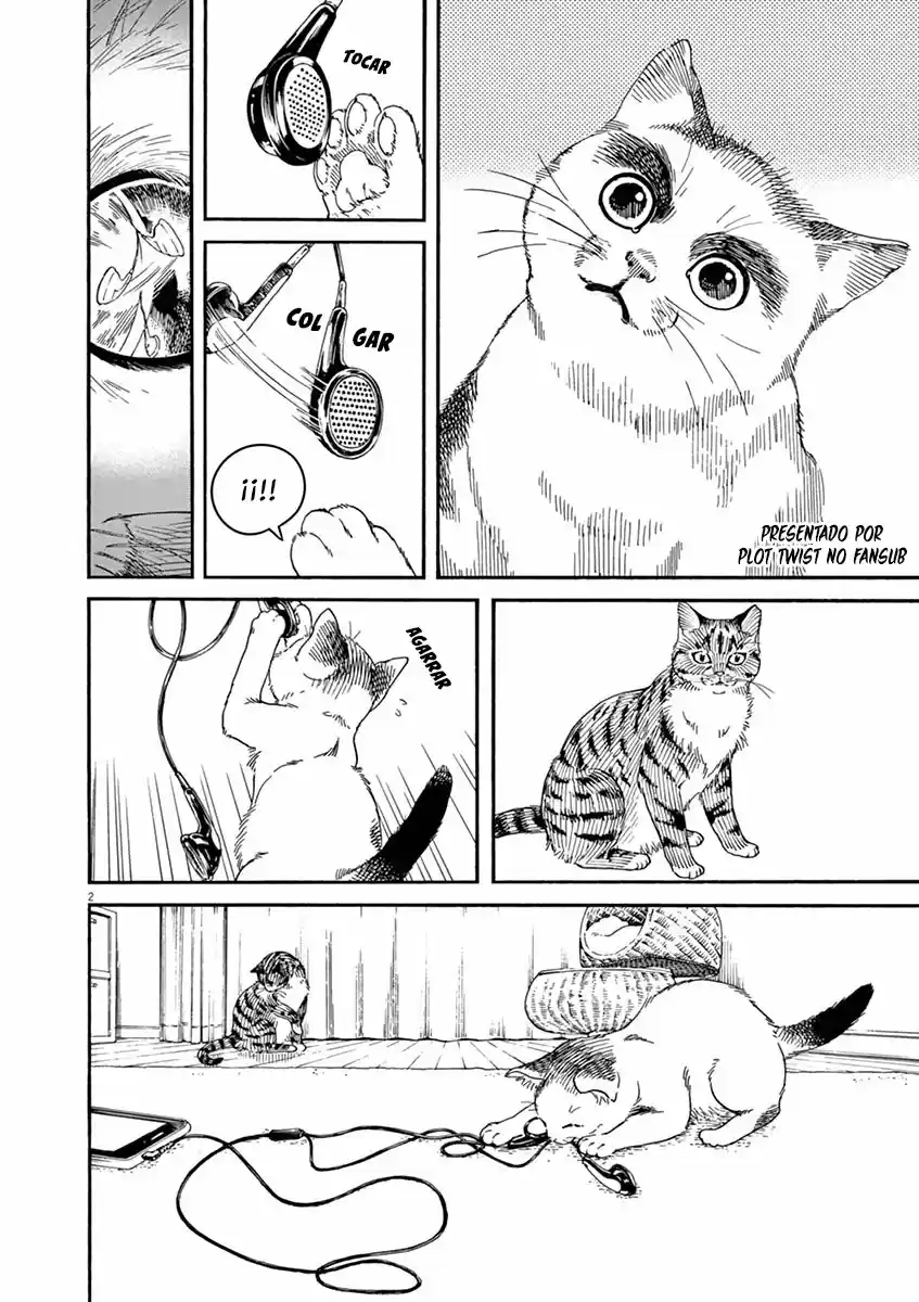 Neko No Otera No Chion-san - Capítulo 23 - Página 3 - LectorTMOo