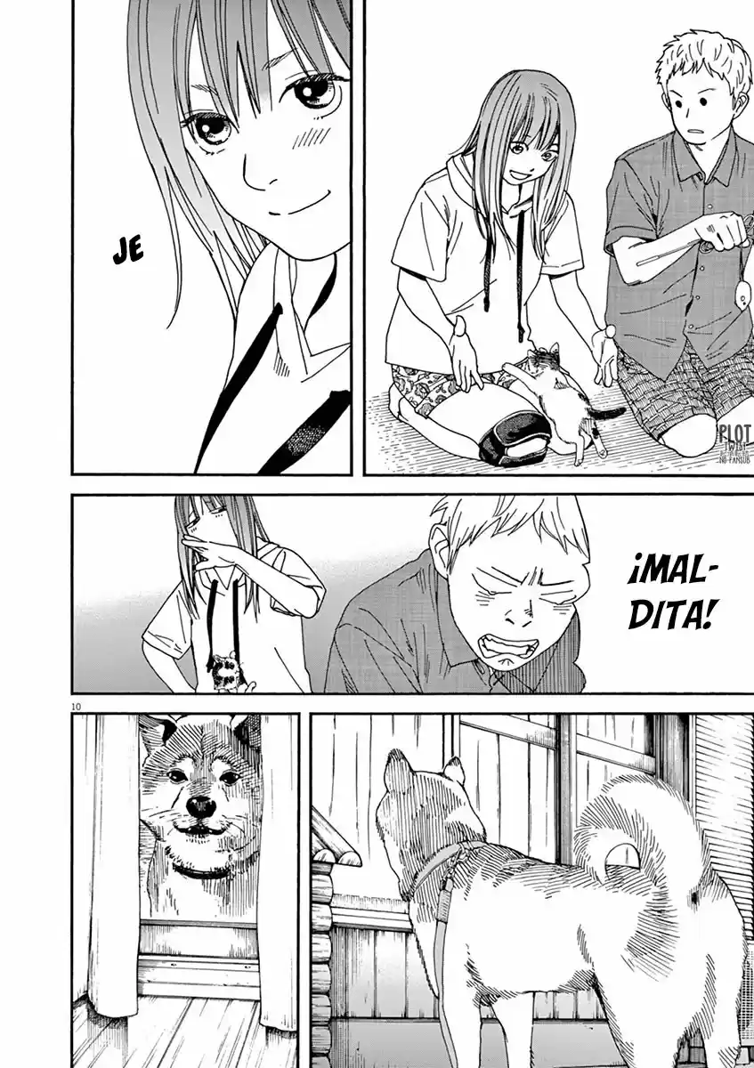 Neko No Otera No Chion-san - Capítulo 23 - Página 11 - LectorTMOo