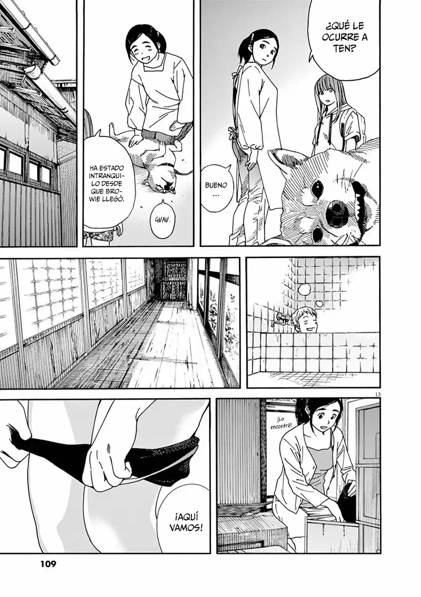Neko No Otera No Chion-san - Capítulo 23 - Página 14 - LectorTMOo