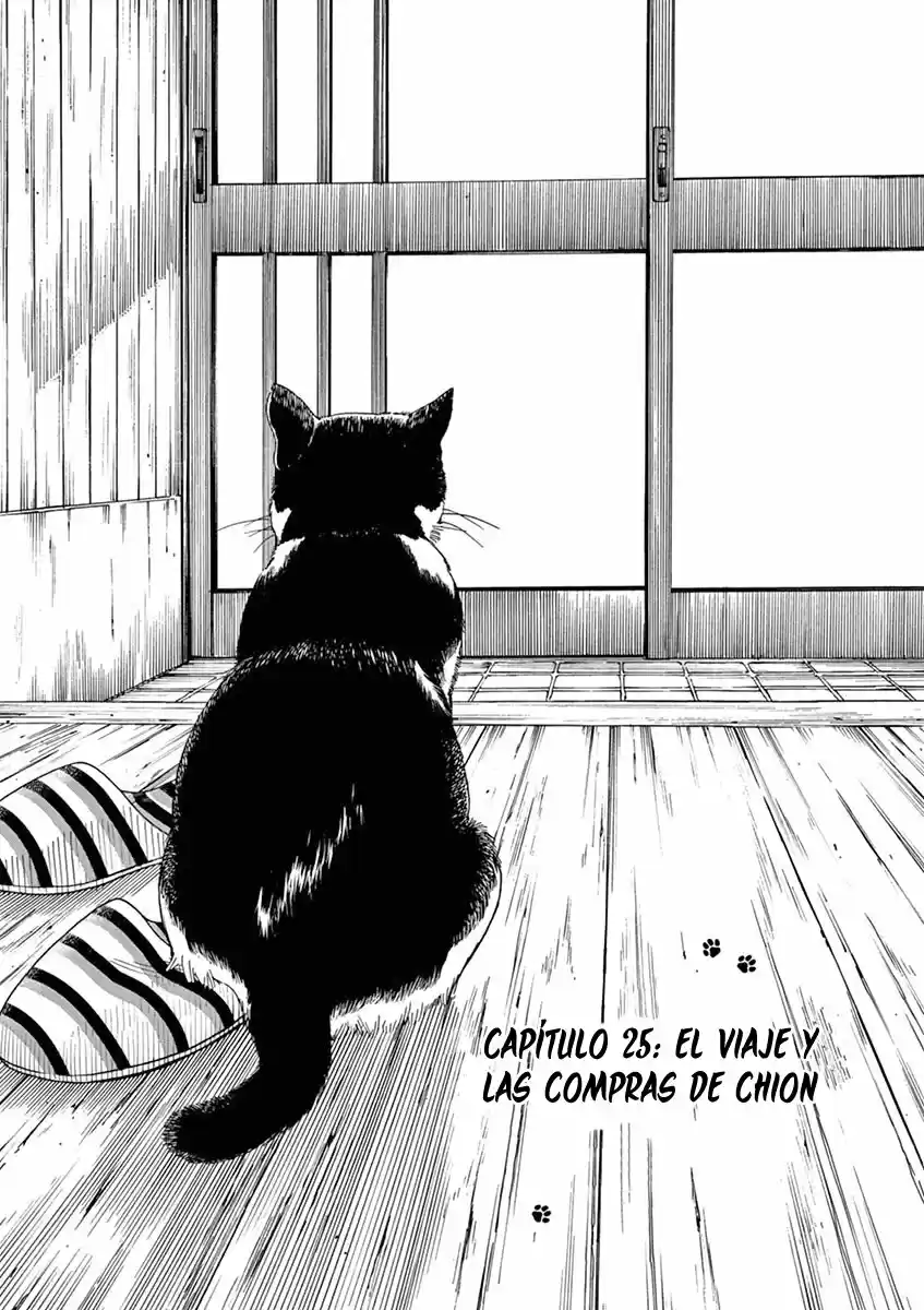 Neko No Otera No Chion-san - Capítulo 25 - Página 2 - LectorTMOo
