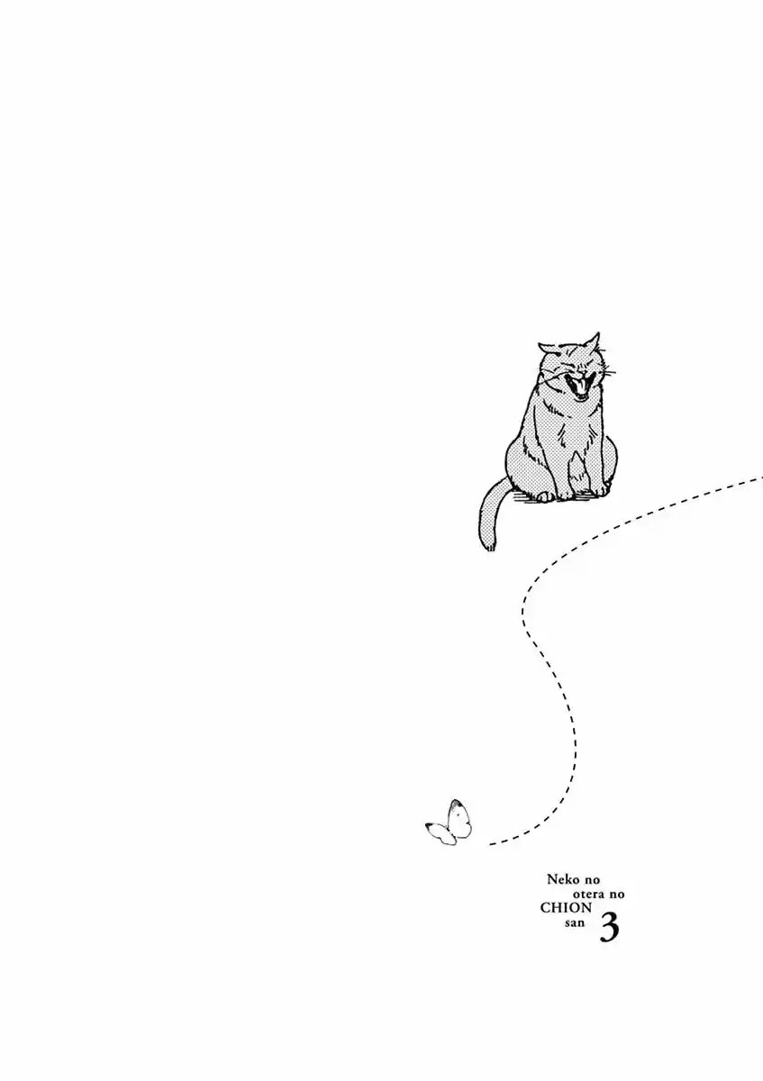 Neko No Otera No Chion-san - Capítulo 25 - Página 21 - LectorTMOo