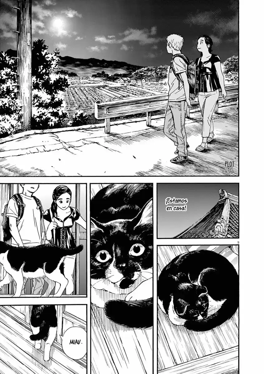 Neko No Otera No Chion-san - Capítulo 26 - Página 10 - LectorTMOo