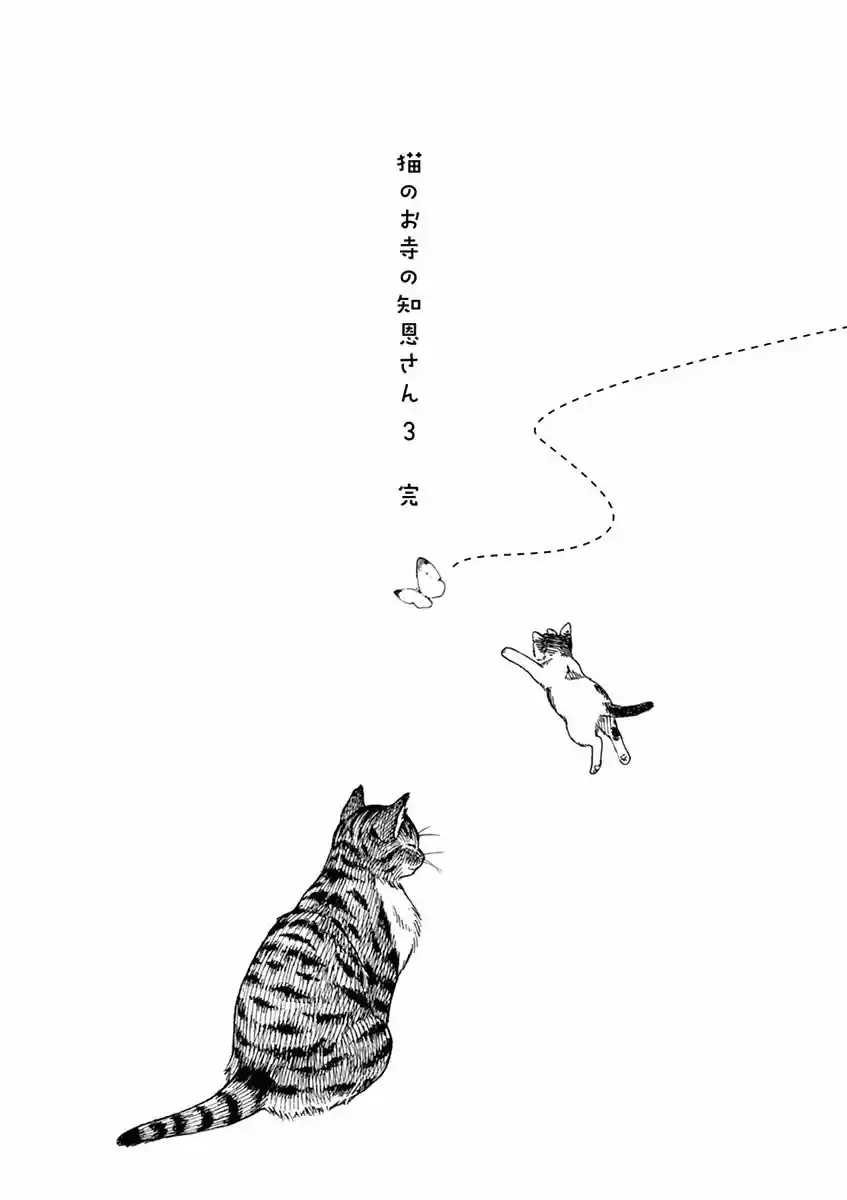 Neko No Otera No Chion-san - Capítulo 26 - Página 20 - LectorTMOo