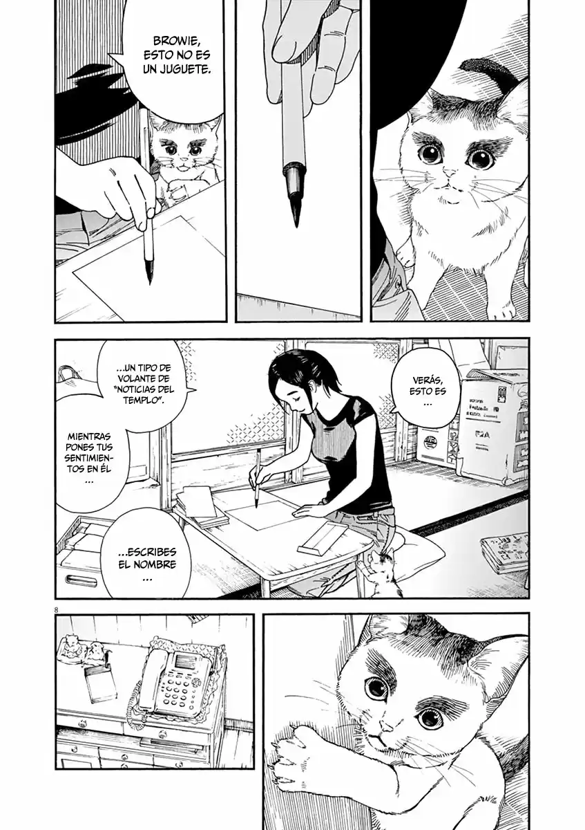 Neko No Otera No Chion-san - Capítulo 27 - Página 13 - LectorTMOo