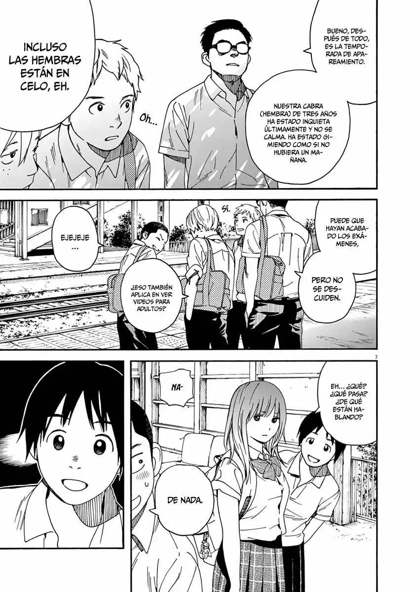 Neko No Otera No Chion-san - Capítulo 29 - Página 8 - LectorTMOo