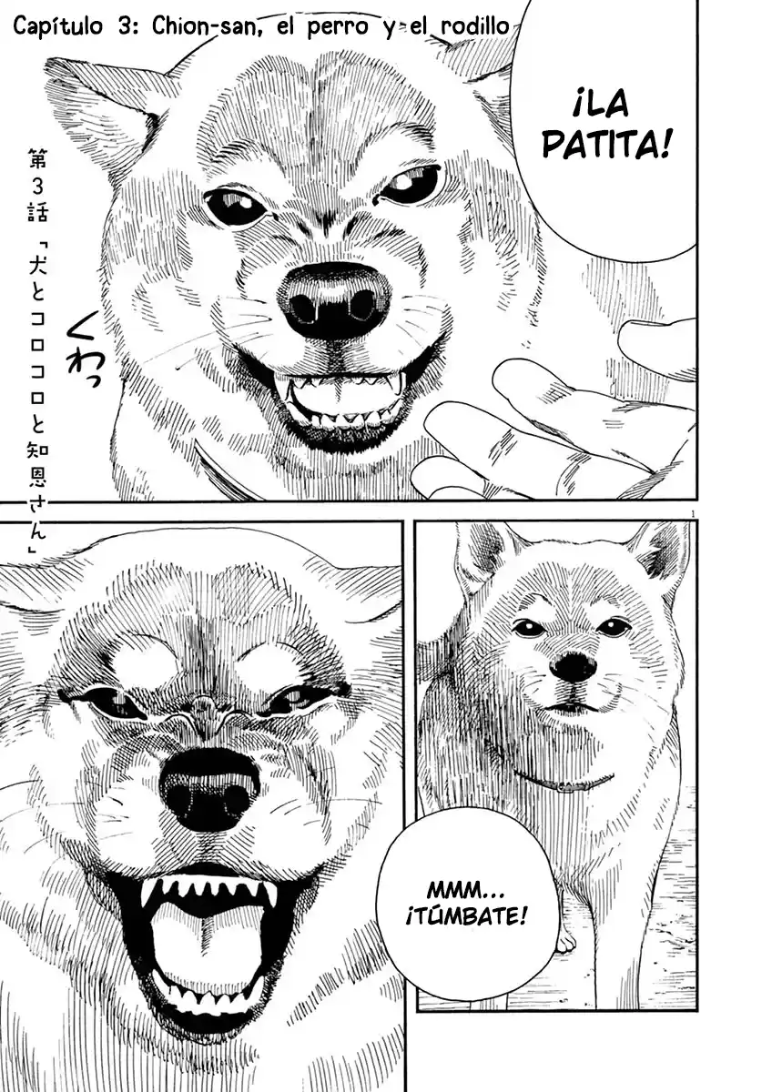 Neko No Otera No Chion-san - Capítulo 3 - Página 2 - LectorTMOo