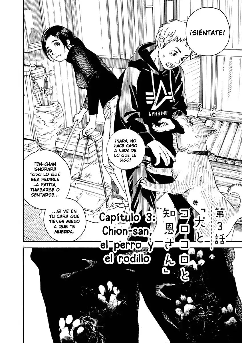 Neko No Otera No Chion-san - Capítulo 3 - Página 3 - LectorTMOo
