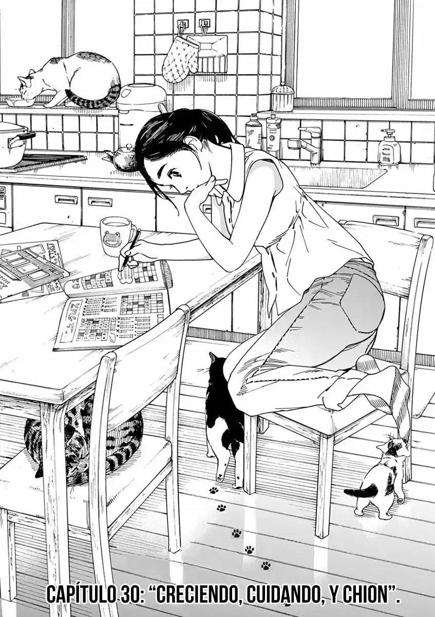 Neko No Otera No Chion-san - Capítulo 30 - Página 2 - LectorTMOo