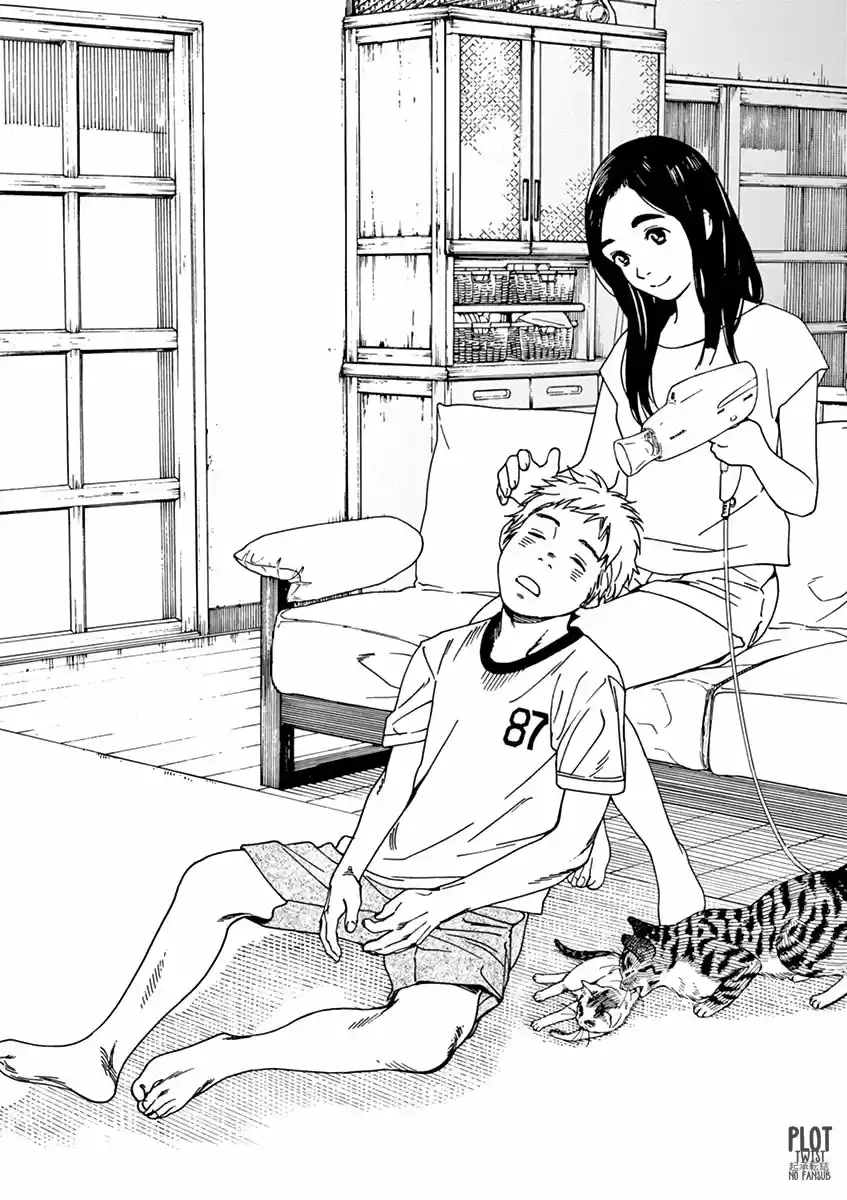 Neko No Otera No Chion-san - Capítulo 34 - Página 19 - LectorTMOo