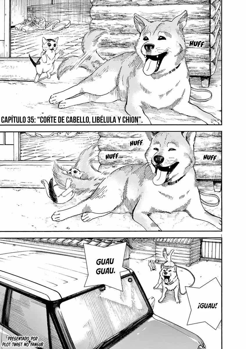 Neko No Otera No Chion-san - Capítulo 35 - Página 2 - LectorTMOo