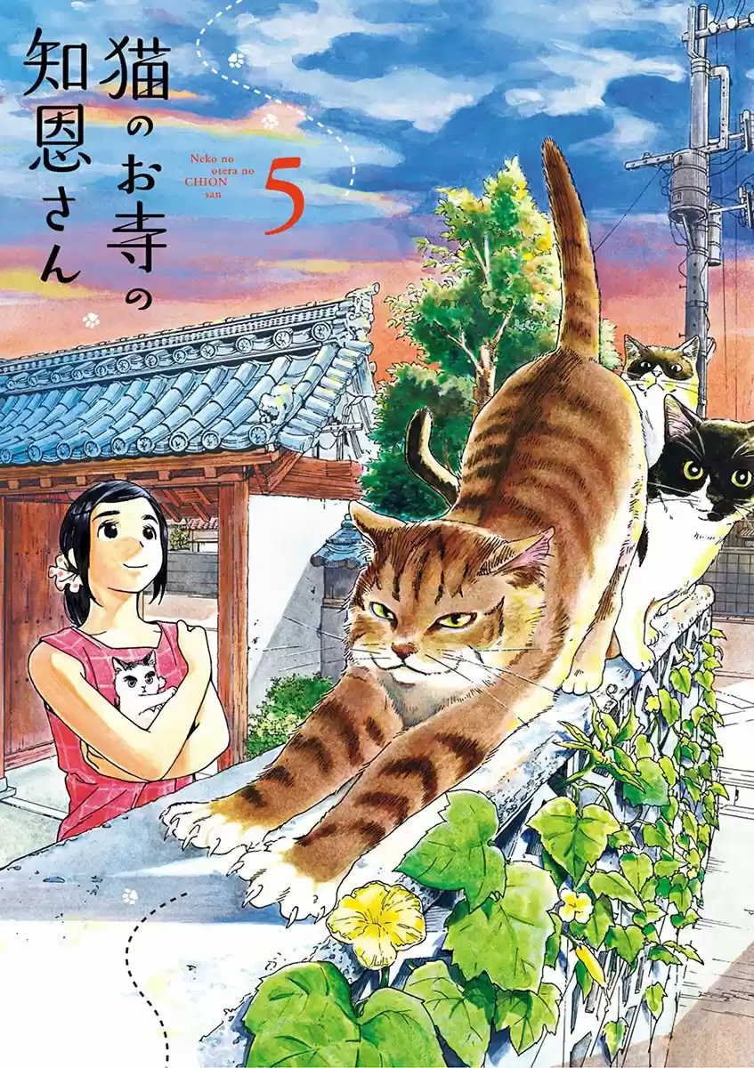 Neko No Otera No Chion-san - Capítulo 36 - Página 2 - LectorTMOo