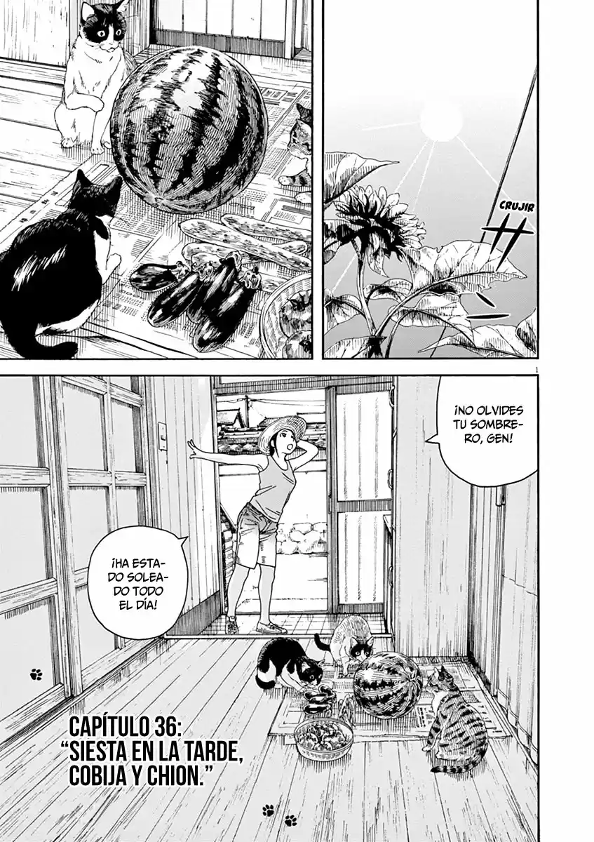 Neko No Otera No Chion-san - Capítulo 36 - Página 9 - LectorTMOo
