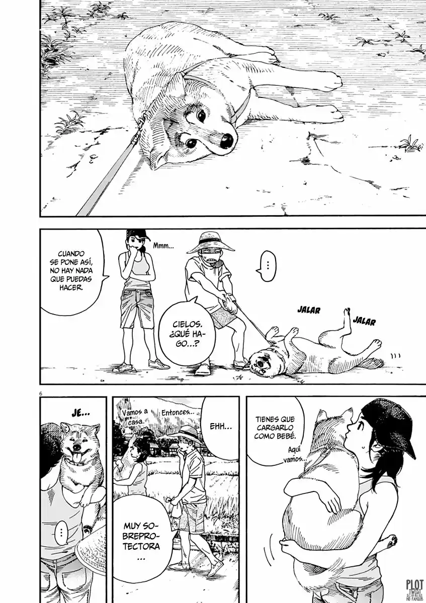 Neko No Otera No Chion-san - Capítulo 36 - Página 13 - LectorTMOo