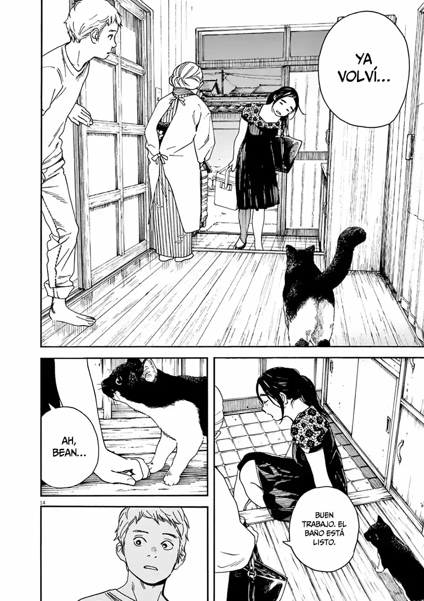 Neko No Otera No Chion-san - Capítulo 41 - Página 15 - LectorTMOo