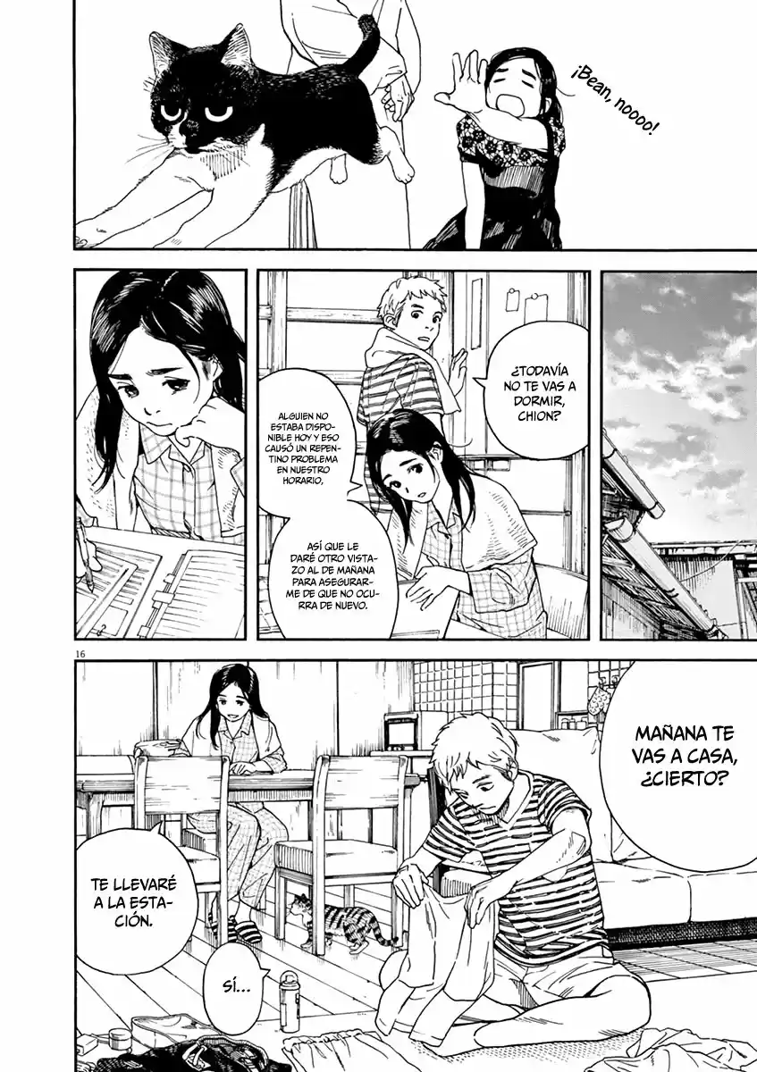 Neko No Otera No Chion-san - Capítulo 41 - Página 17 - LectorTMOo