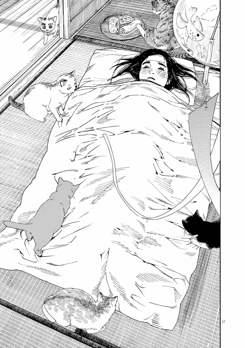 Neko No Otera No Chion-san - Capítulo 42 - Página 17 - LectorTMOo