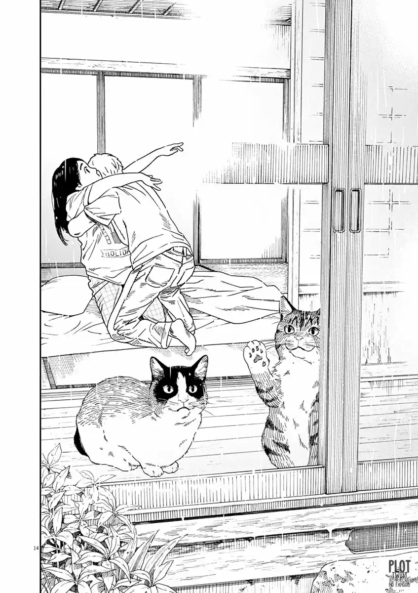 Neko No Otera No Chion-san - Capítulo 43 - Página 14 - LectorTMOo