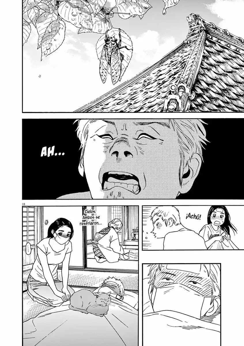 Neko No Otera No Chion-san - Capítulo 43 - Página 17 - LectorTMOo