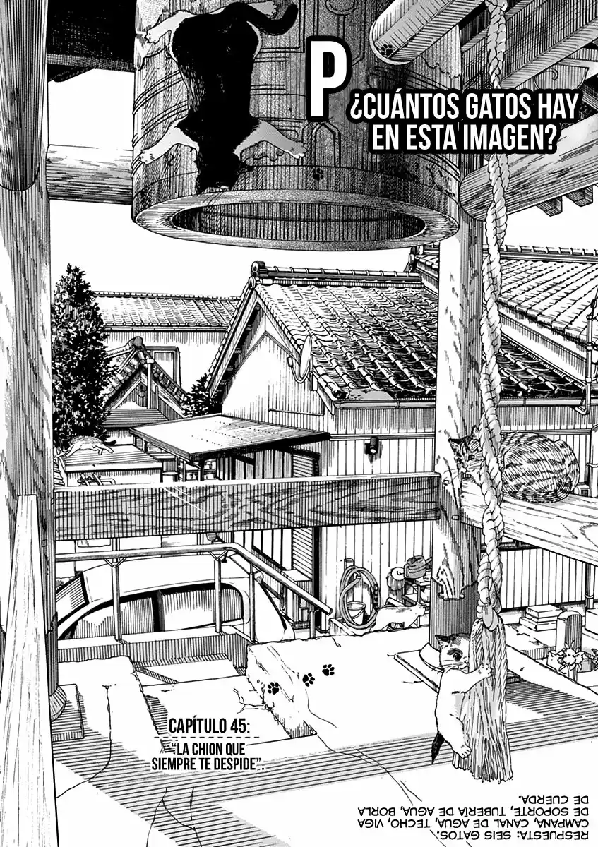 Neko No Otera No Chion-san - Capítulo 45 - Página 6 - LectorTMOo