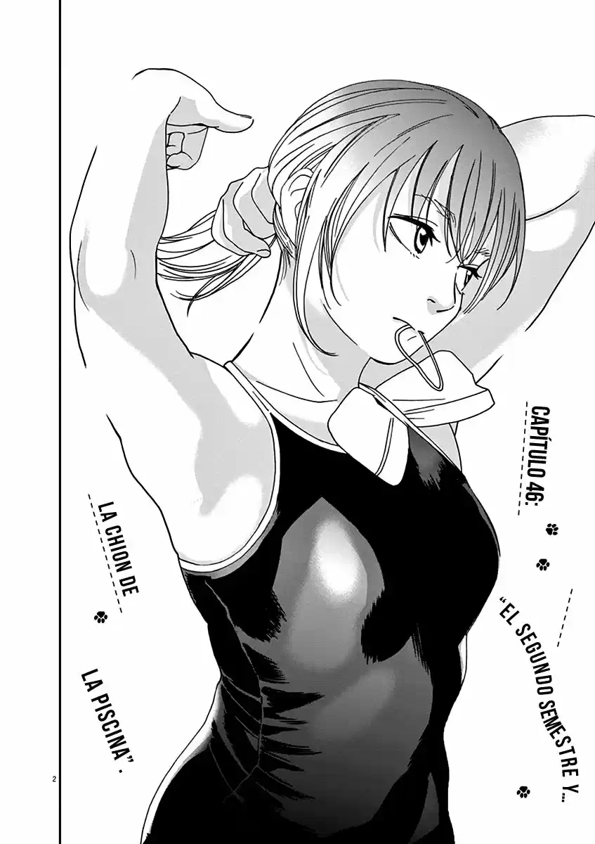 Neko No Otera No Chion-san - Capítulo 46 - Página 3 - LectorTMOo