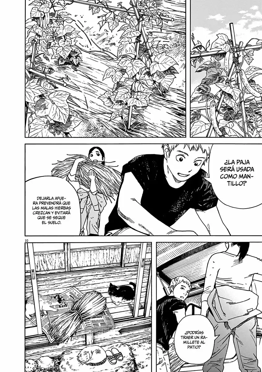 Neko No Otera No Chion-san - Capítulo 47 - Página 10 - LectorTMOo