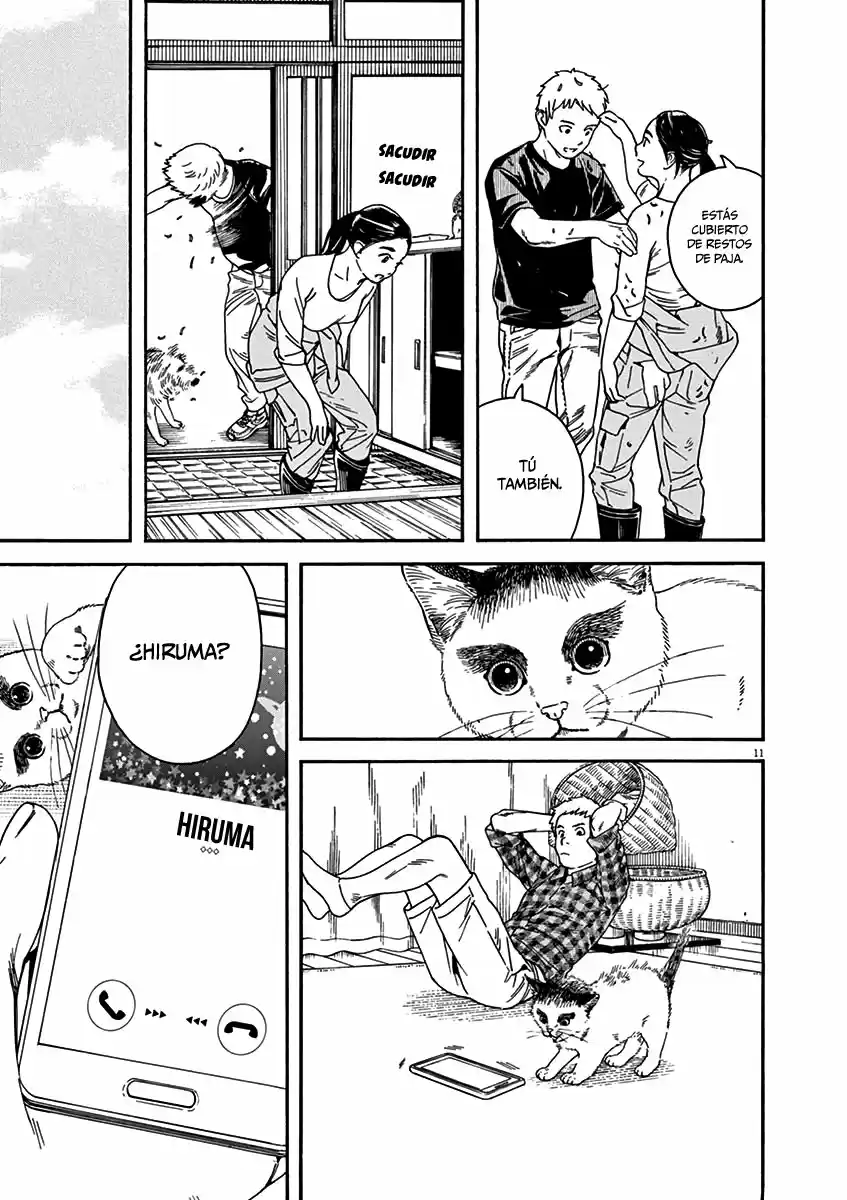Neko No Otera No Chion-san - Capítulo 47 - Página 11 - LectorTMOo