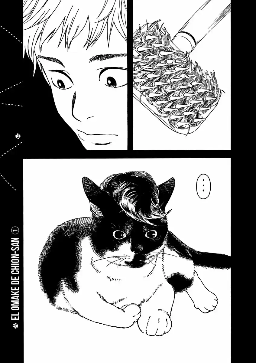 Neko No Otera No Chion-san - Capítulo 47 - Página 19 - LectorTMOo
