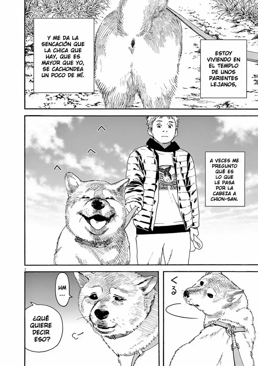 Neko No Otera No Chion-san - Capítulo 5 - Página 3 - LectorTMOo
